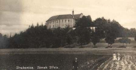 Prachatické muzeum má ve svých sbírkách několik velmi zajímavých ceroplastik. Jednou z nich je vosková kytice v dřevěném rámečku s konvexním sklem.