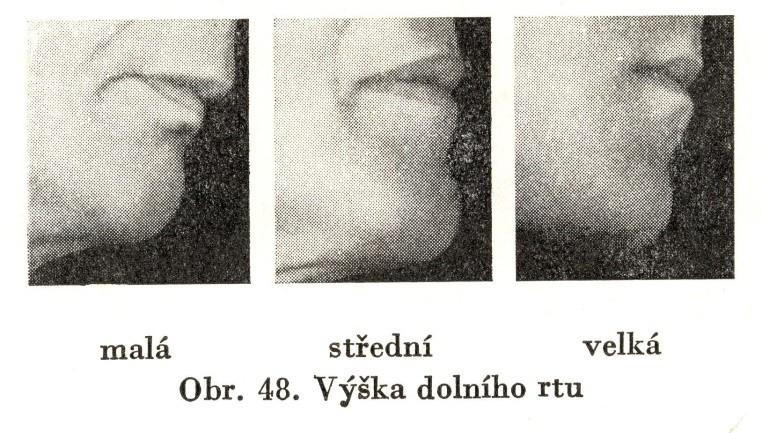 Výška dolního rtu: 1. malá, 2. střední, 3. velká.