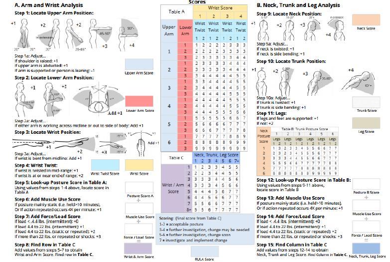 1.2.2 RULA RULA (Rapid Upper Limb Assessment) je metoda vyvinutá k hodnocení pracovního postoje jednotlivých pracovníků, u kterých se vyskytují ergonomické rizikové faktory spojené s horními