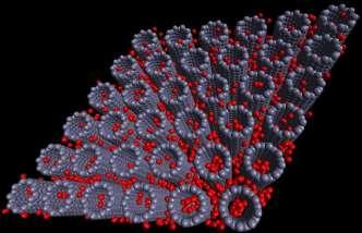 Základní vlastnosti C-nanotrubic ADSORBCE KAPILARITA = MOŽNOST ADSORBCE Obecně uhlíkové materiály jsou výbornými absorbenty a to proto,