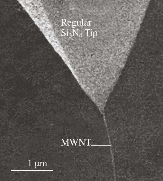 Atom force microscopy TIPs Carbon nanotubes - applications SEM