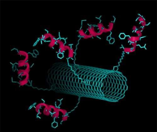 Carbon nanotubes - applications Biomedical biosensors: the use of the internal cavity of nanotubes for drug delivery would be amazing