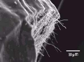 Composites: metal matrix composites,