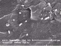 matrix composites Kompozitní