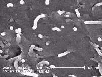 Carbon nanotubes - applications