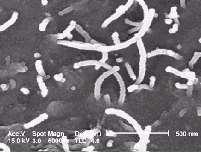 Termoset and thermoplastic matrixes
