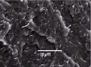 polypropylene, polystyrene,