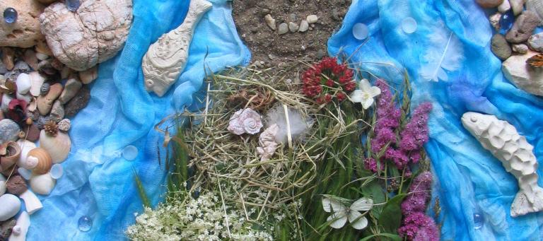 zkratkou ICPDR) a organizované Dunajským environmentálním fórem, se v roce 2005 účastnilo 9 škol