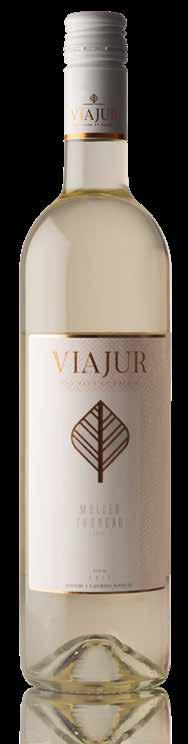 MÜLLER THURGAU akostné suché, 2017 Müller Thurgau má za sebou viac ako storočnú históriu. Víno je jemnej žltozelenej farby s pestrou škálou ovocných vôní a s odrodovým muškátovým podtónom.