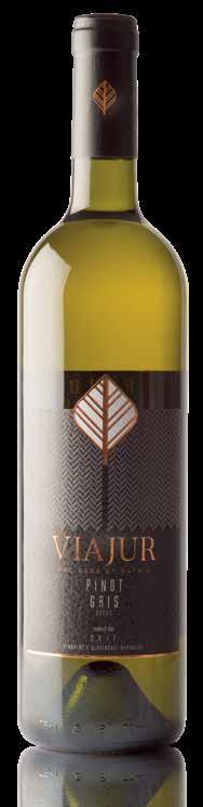 PINOT GRIS akostné suché, neskorý zber, 2017 Odroda, ktorá sa pestuje takmer vo všetkých vinárskych štátoch Európy, sa vyznačuje hlbokou farbou zlatistého odtieňa, noblesnou komplexnou vôňou, tónmi