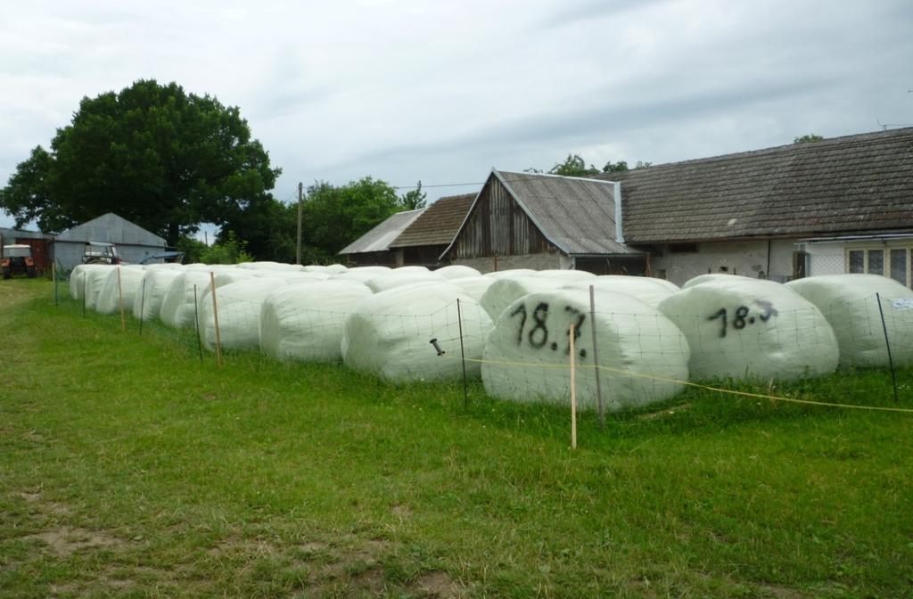 Obrázek 18 Balíky jetelové senáže v obci Slavňovice dle jejich deformace je vidět, že byly sklízeny při nízké