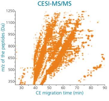 CZE/MS analýza peptidů Jiný mechanismus separace oproti LC, jiná