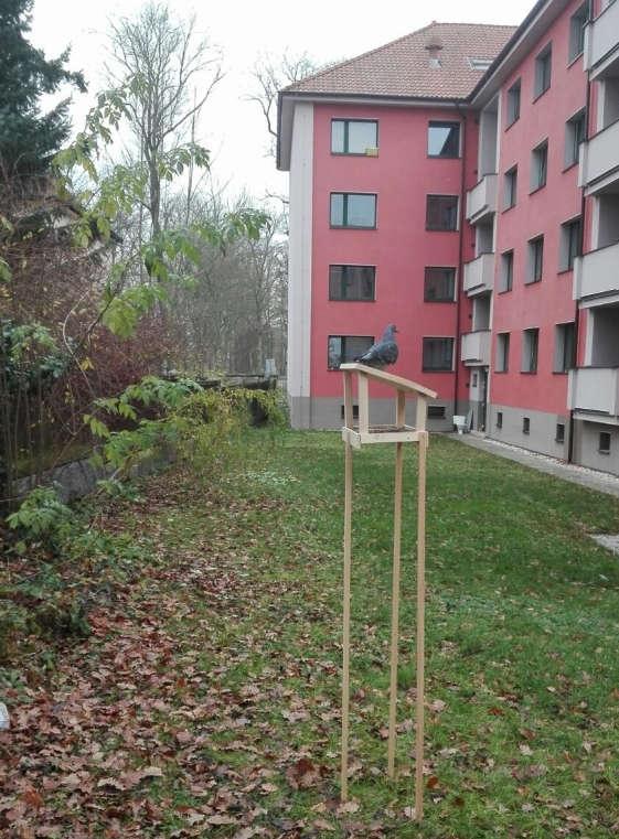 Kam s krmítkem a čím jej plnit? Krmítko umístíme na bezpečné místo do dostatečné vzdálenosti od predátorů (koček, kun apod.).