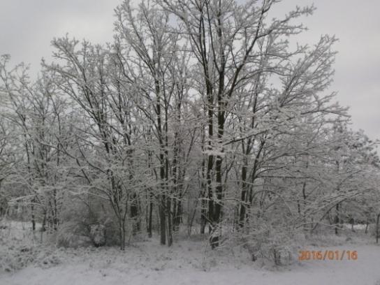 Vo februári boli vyhodnotené fotografie jesennej a zimnej prírody.