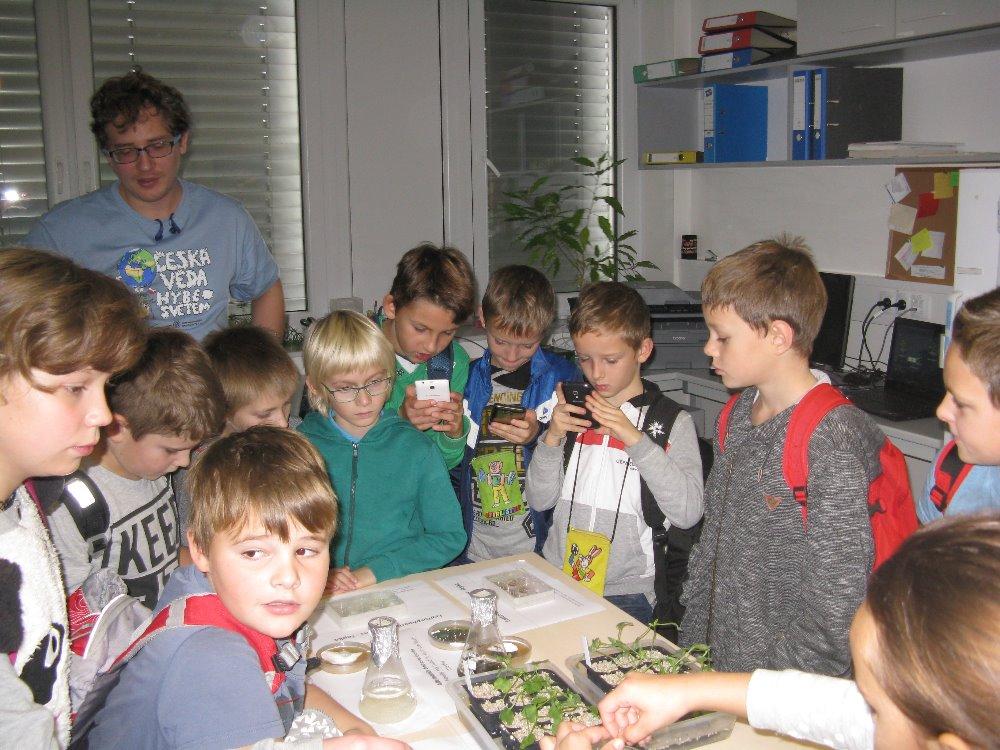 U mladších žáků bylo srovnání možné pouze v rámci školy. Letos se soutěže zúčastnilo celkem 74518 žáků základních a středních škol.