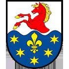 TJ Žitenice 12 6 2 4 46:31 22 7 6.