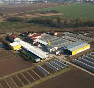 GPS 49 29 51.355 N,17 5 20.035 E Vážení pěstitelé, brány naší firmy jsou Vám kdykoliv otevřené.