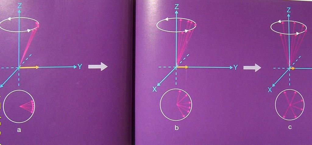 Po vypnutí VF impulsu příčná magnetisace mizí a narůstá