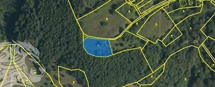 9) Zemědělský pozemek o velikosti 1 226 m² Lokalita: Vsetín Nabídková cena: 24 000,- Kč Upravená nabídková cena: 20,- Kč/m 2 Popis: Pozemek je využíván