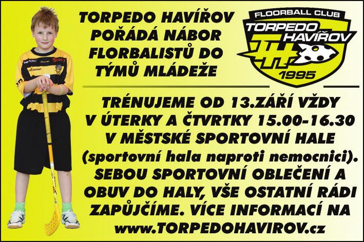 Městské kulturní středisko Společenský dům Výstava je zaměřena na aktuální vzdělávací nabídku středních škol měst Karviná, Havířov, Orlová, Bohumín,Č.