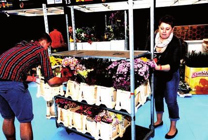 profesionálů ve floristice EUROPA CUP 2011.