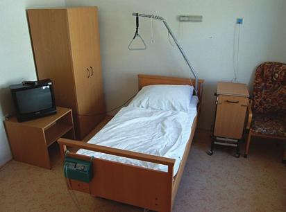 Hospic sv. Lazara v Plzni byl slavnostně otevřen 1.4.1998. Za celou dobu provozu bylo přijato 1711 pacientů, ze kterých 1324 pacientů u nás zemřelo. V roce 2006 bylo do Hospicu sv.