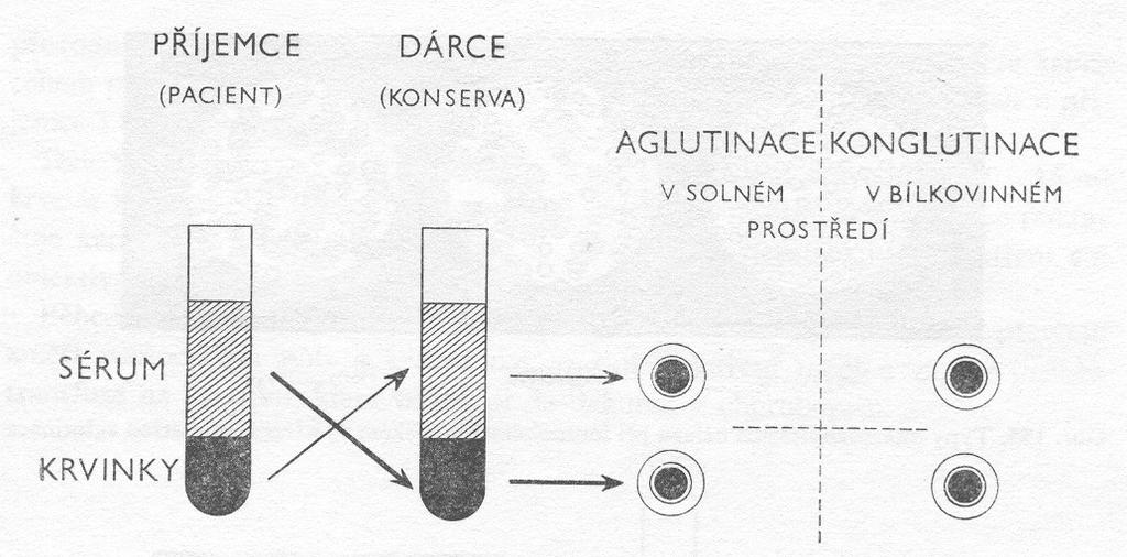 Schéma velké