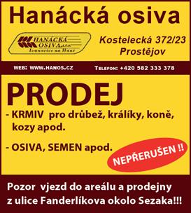 navštěvovala základní školu ve Studentské ulici.