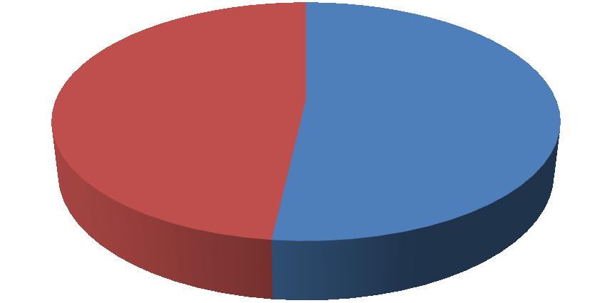 Více než polovina dotázaných si myslí, že letiště v ČR jsou dobře zabezpečena a uspořádána.