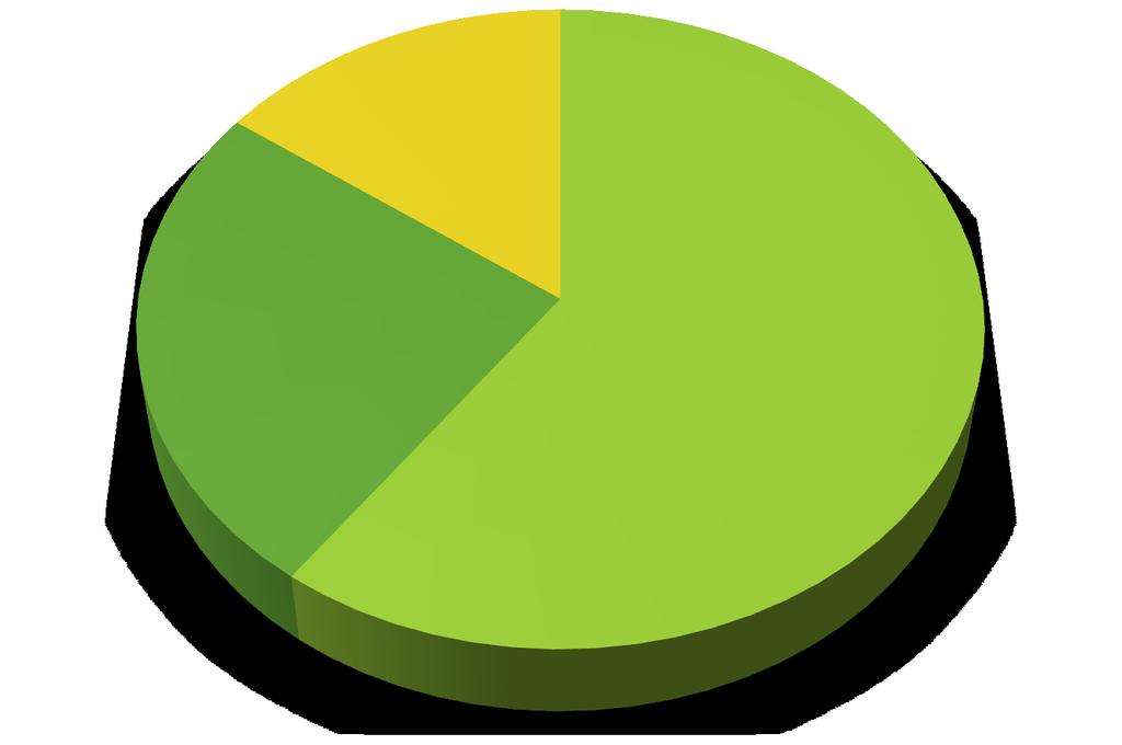 ZASTOUPENÍ V ORGANISMU 2 4 g 15% 25% 60%