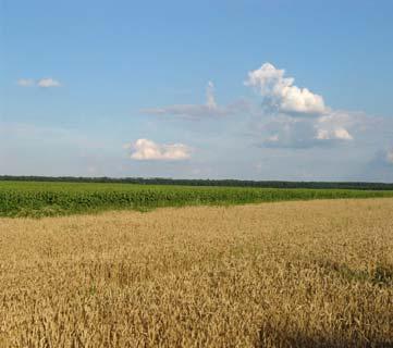 Plodno tlo, umjerena klima i relativno povoljna godišnja distribucija padalina (prosječno godišnje 660 mm) omogućuje visoko kvalitetnu poljoprivrednu proizvodnju.