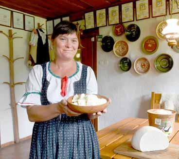 Vybrali sme pre vás niekoľko múzeí v Trenčianskom kraji, o ktorých cií. Klasické menu vymeňte za miestnu špecialitu a verte, že to bude ďalší príjemný, tentoraz kulinársky zážitok.