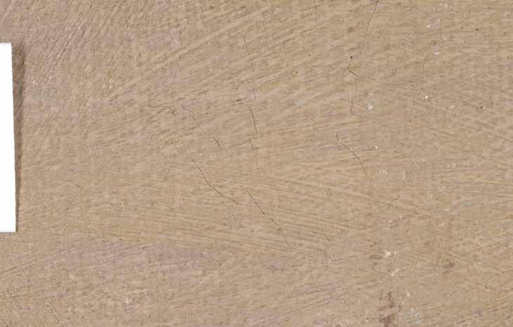 1 cm Portrét hraběnky - detail čela č.