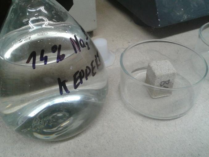 3.5 Popis experimentu dle metodiky Benavente Tento experiment byl inspirován a prováděn dle metodiky, která je uvedena a popsána v článku [6].