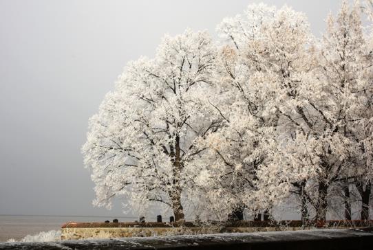fotografie z roku 2017 soutěže Kouřim ve fotografii: 2014