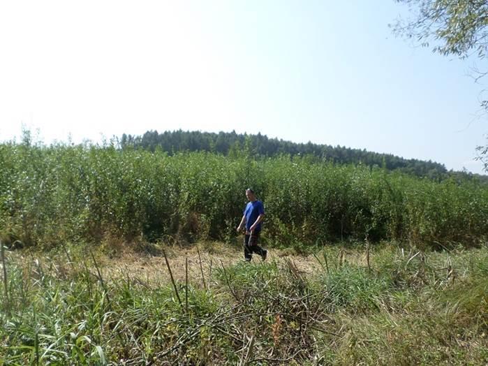 Byl aktualizován povodňový plán města Kouřim (financováno z městského rozpočtu 48 400,-Kč). Bujná vegetace vystřídala vodní hladinu. Nadále probíhala jednoduchá pozemková úprava.