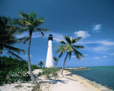 seabather, s itch Častý výskyt: Florida
