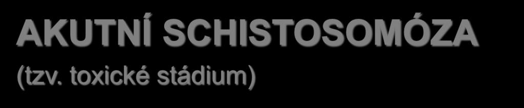 AKUTNÍ SCHISTOSOMÓZA (tzv. toxické stádium) 2-16 týdnů p.i. cerkáriemi S.