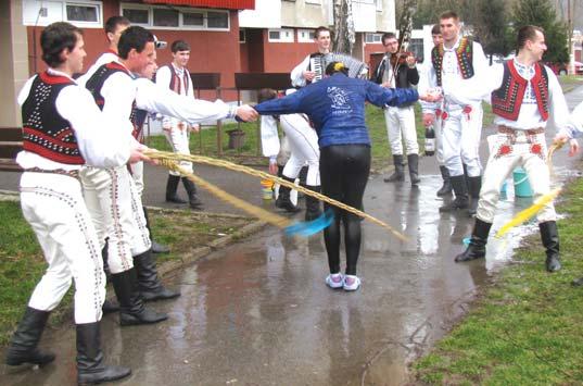 Kuracie štvrte 1,24 /kg Kuracie krídla