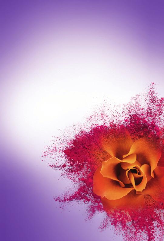 Intensive Color Creme barva