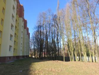 nejsevernější části plochy jsou pozůstatky původního