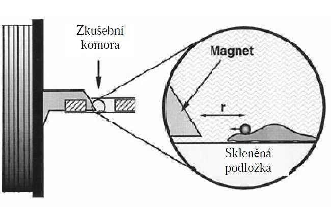 Na kuličku je aplikováno vertikální homogenní magnetické pole, které způsobí rotaci a translaci kuliček a tím i deformaci povrchu buňky (Obr. 46).