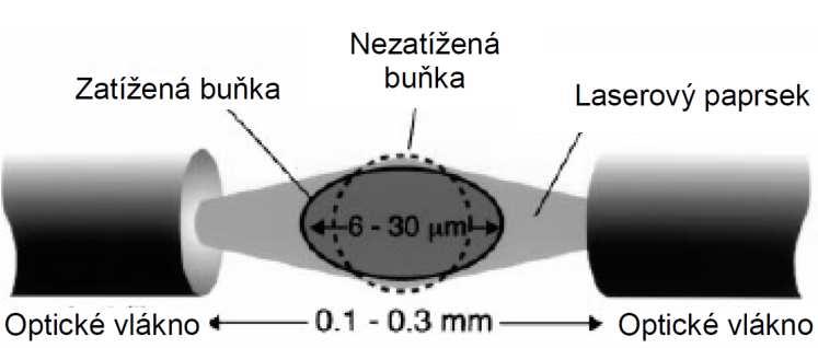 Výhodou této metody je, že laserové paprsky nejsou zaostřovány na měřený objekt (buňku) a tím se snižuje riziko poškození objektu. Kapitola 6 byla zpracována na základě [1][9][10]. Obr.