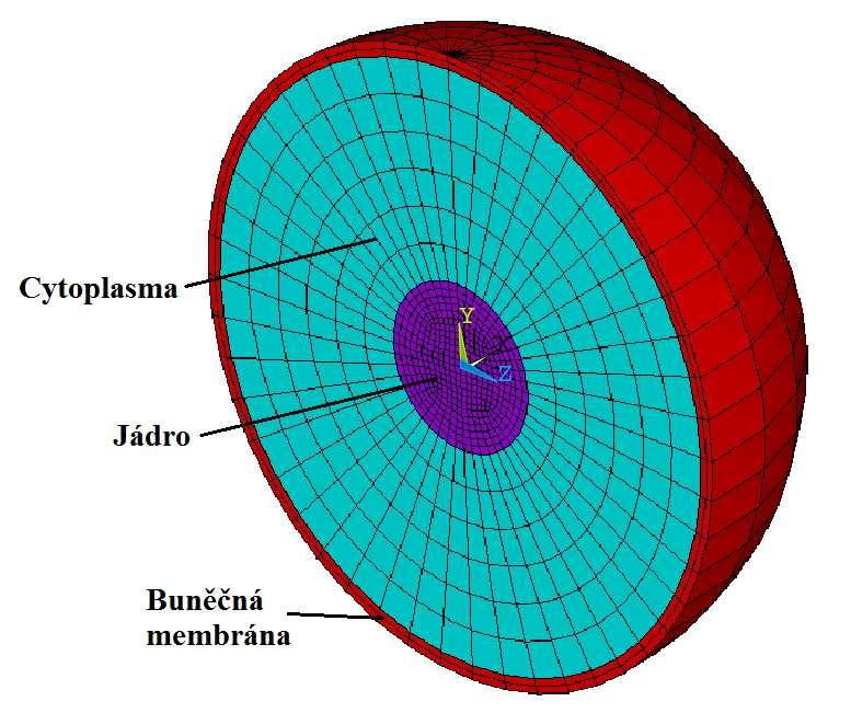 Při výpočtech se však ukázalo, že numericky stabilnější je možnost, kdy jsou modely spojeny s využitím příkazu CP, a proto tento přístup využijeme při vytváření tohoto modelu.
