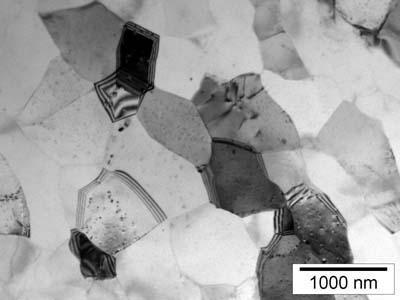 Obr. 1.4: Mikrostruktura slitiny Al-3%Mg-0,2%Sc [1] 1.