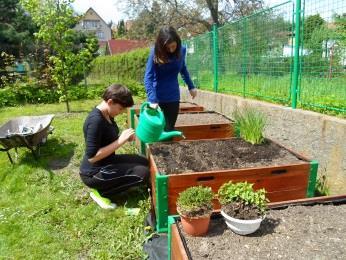 místo 20. 4. 2017 Den Země KRNAP Vrchlabí KVĚTEN 5. 5. 2017 Přednáška a beseda: Pražské povstání a Den vítězství (2.