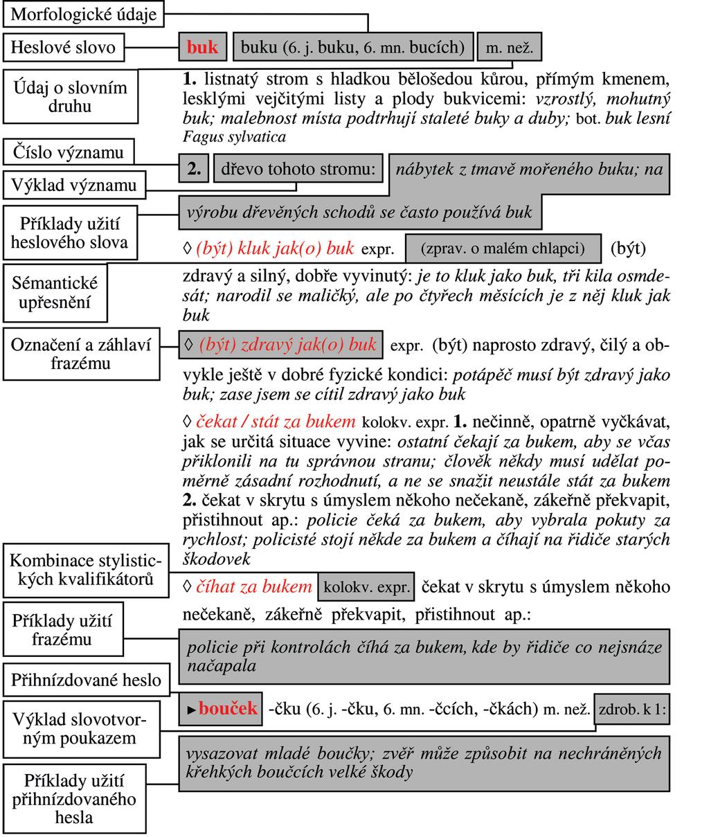 STAVBA HESLA V ASSČ hypertextového propojení jak v rámci textu slovníku, tak i mimo něj (např. s digitalizovanými akademickými slovníky).