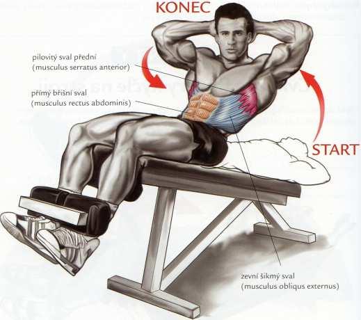 Cviky na šikmé brušné svaly Šikmý sed- ľah 1. Ľahneme si na lavicu, chodidlá dáme pod podložku a ruky za hlavu. 2. Pri pohybe nahor so sedu otáčame trup tak, aby pravá lakeť smerovala k ľavému kolenu.