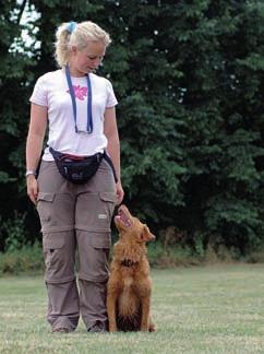 VÝCVIK PSA k dokonalé poslušnosti Obedience