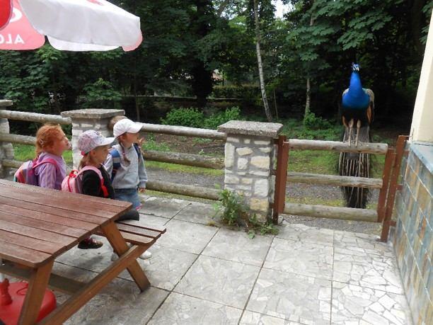 Do dětského Divadla rozmanitostí v Mostě jsme se vypravili na pohádku Sněhurka a sedm trpaslíků.